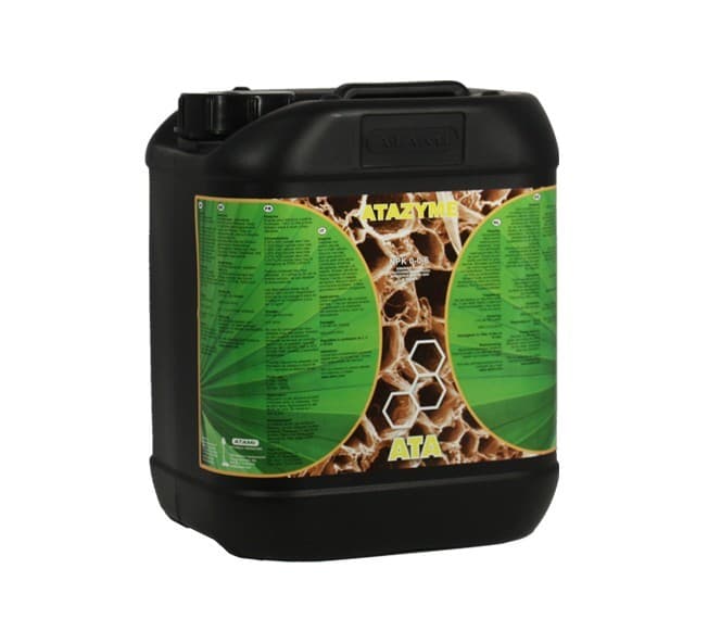 B´CUZZ Atazym, 5 L.