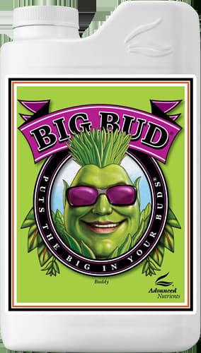 Advanced Nutrients Big Bud 500 ml