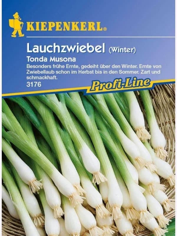Lauchzwiebel Kaigaro