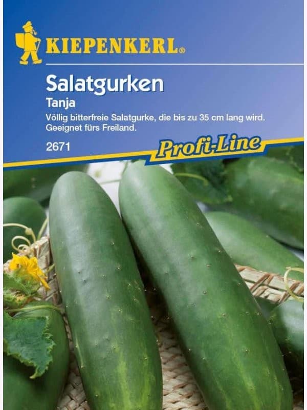 Snackgurke Picolino , F1