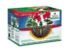 Blumat 12er Set (für 3m.)