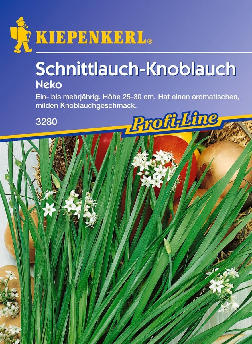 Schnittlauch Staro