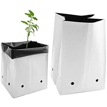 Growbag 11,5 L.