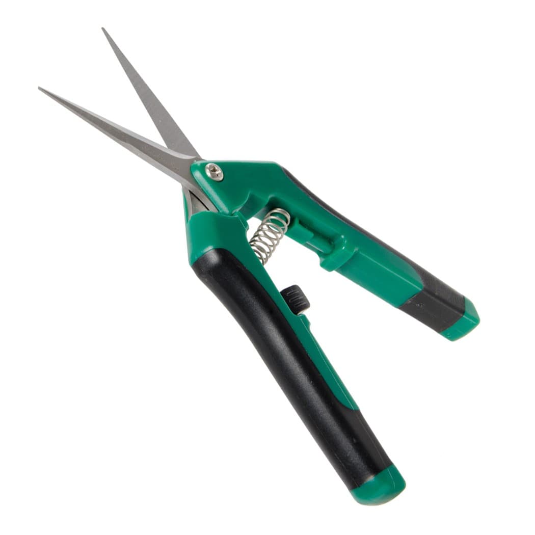 Präzisions-Astschere