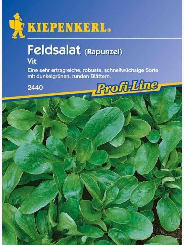 Feldsalat Vit