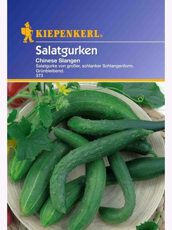 Salatgurke Dominica , F1