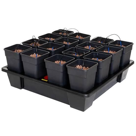Wilma XXL 16 Complete 11 L.