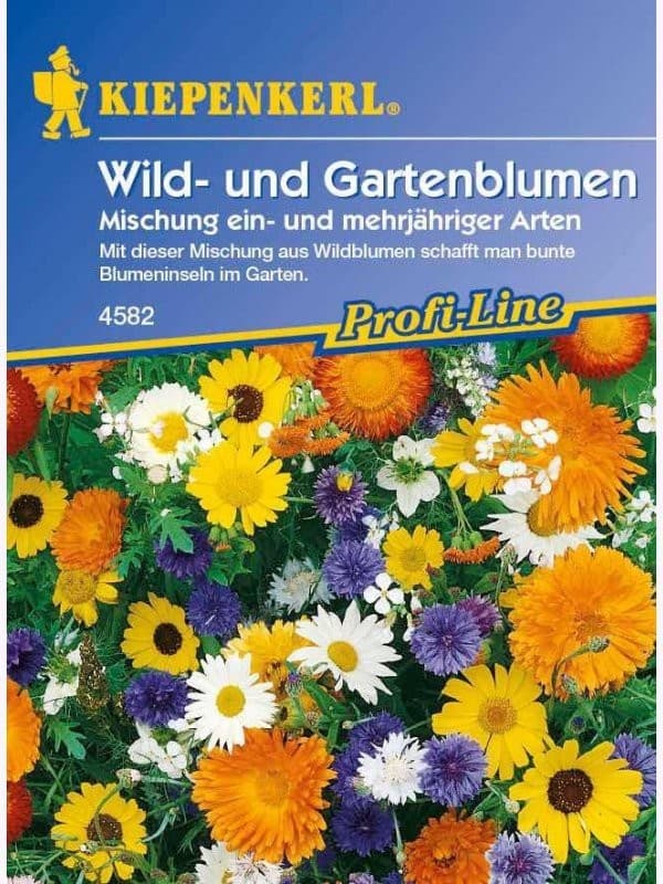 Blumenmischung Schmetterlingswiese