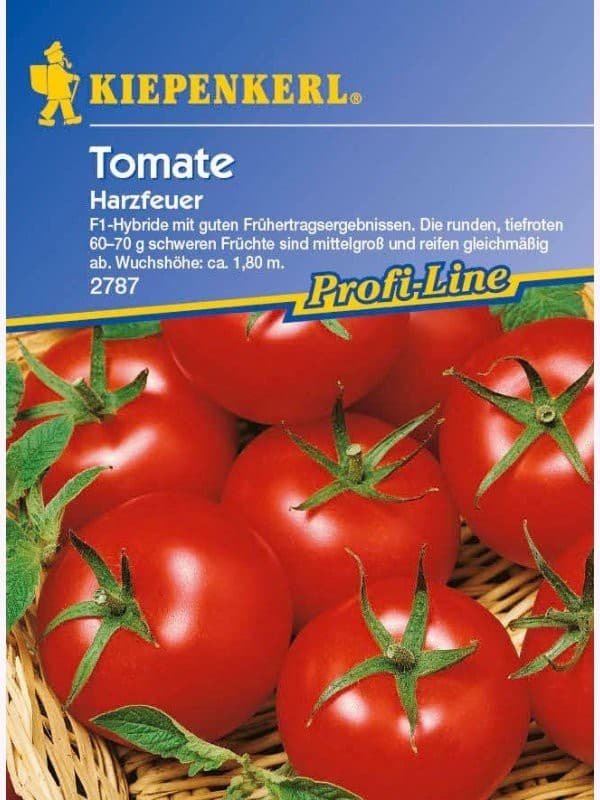 Tomaten Harzfeuer