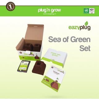 Eazy Plug - Sea of Green Set