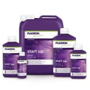 Plagron Start Up 1 L (12 Stk.)