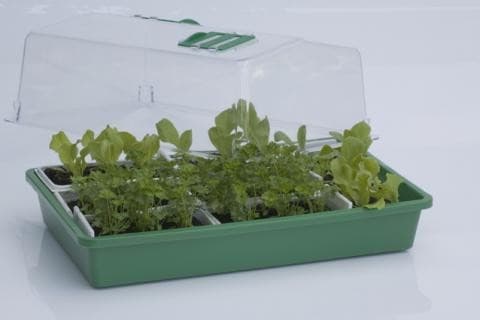 Gewächshaus Propagator 43