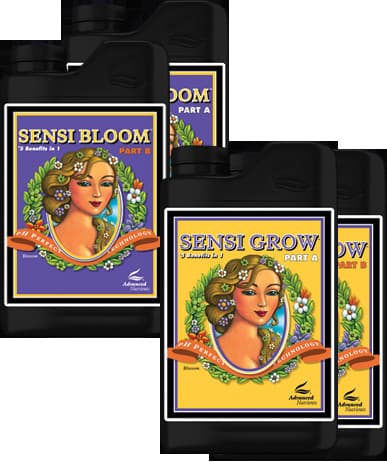Advanced Nutrients pH Perfect Sensi Bloom A+B 1 L
