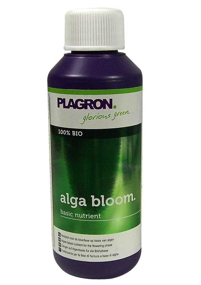 Plagron Alga Blüte 100 ml.
