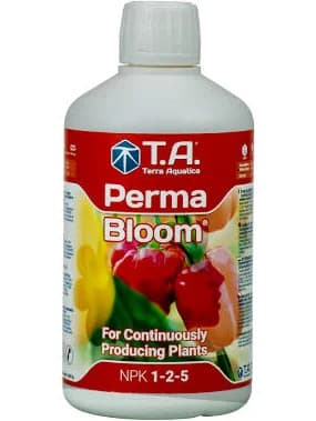 GHE Flora Mato, 1L. TA Perma Bloom