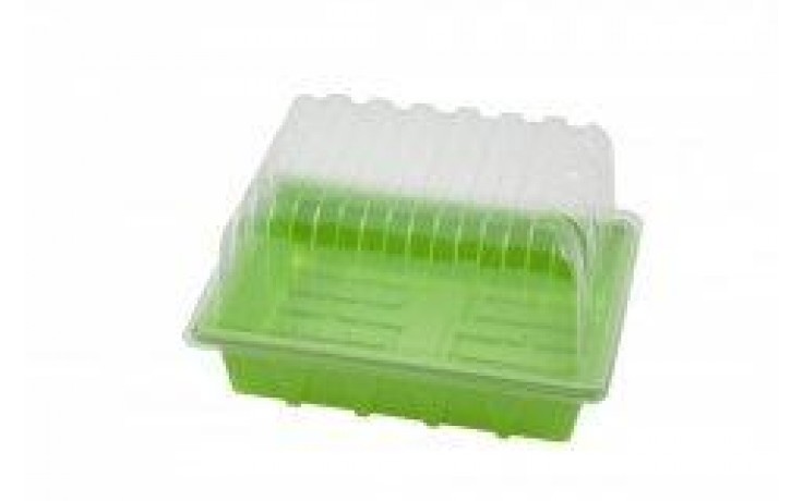 Propagator 32 für Eazy Plug 12er Anzuchttray (23x18x13 cm.)