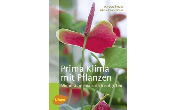 Prima Klima mit Pflanzen (126 Seiten)