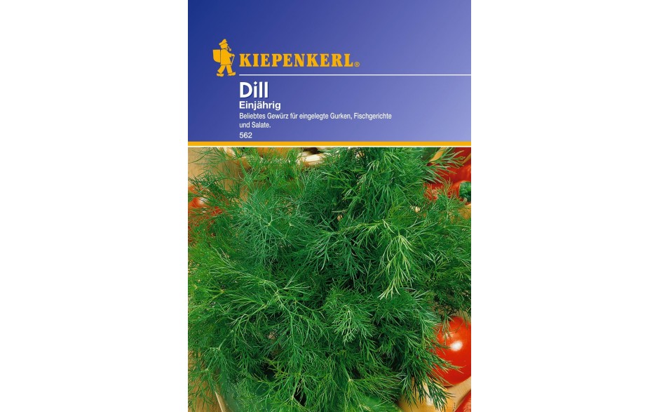 Dill Tetra